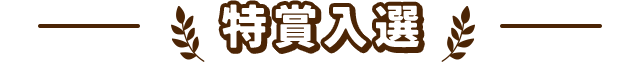 特賞入選